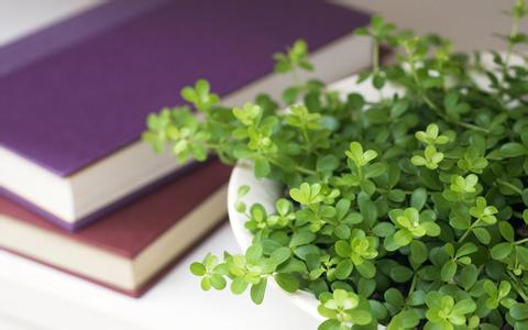 安徽成人高考录取后函授需要读几年?