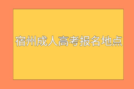 宿州成人高考报名地点