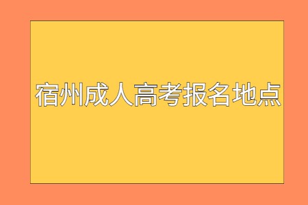 宿州成人高考报名地点