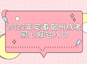 2021年安徽宿州成考网上报名入口