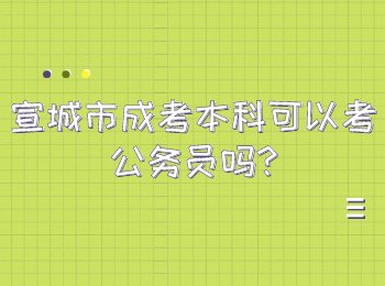 宣城市成考本科可以考公务员吗