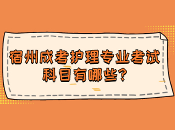 宿州成考护理专业考试科目有哪些