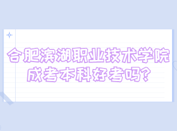 合肥滨湖职业技术学院成考本科好考吗