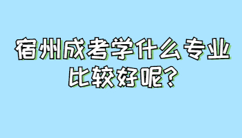 宿州成考学什么专业比较好呢