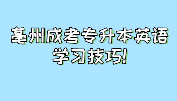 亳州成考专升本英语学习技巧