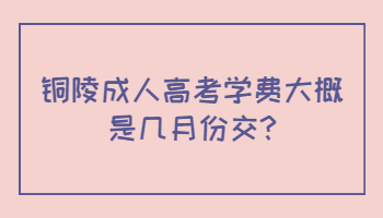 铜陵成人高考学费大概是几月份交