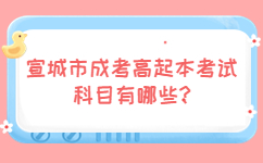 宣城市成考高起本考试科目有哪些