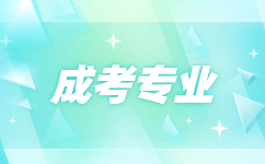 2024年安徽成人高考专业加试介绍