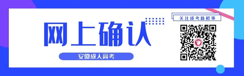 2024年安徽成人高考网上确认须知