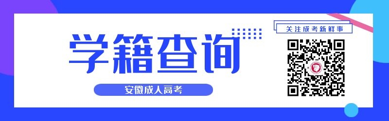 2024年安徽成人高考学籍查询流程