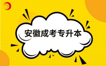 2025年安徽成考专升本可以换专业吗